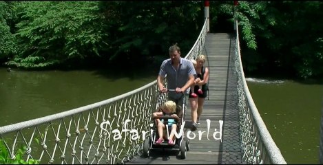 Safari World, Bangkok, Thailand with Super hit Malayalam music May masam...