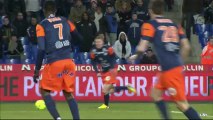 Montpellier Hérault SC (MHSC) - AS Nancy-Lorraine (ASNL) Le résumé du match (25ème journée) - saison 2012/2013