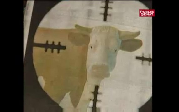 [Doc] Farines animales : les coulisses d'une enquête (2002)