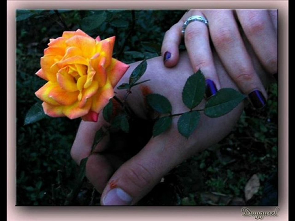 Metin Özülkü _ İclal Aydin     - Unutulmusmuydum