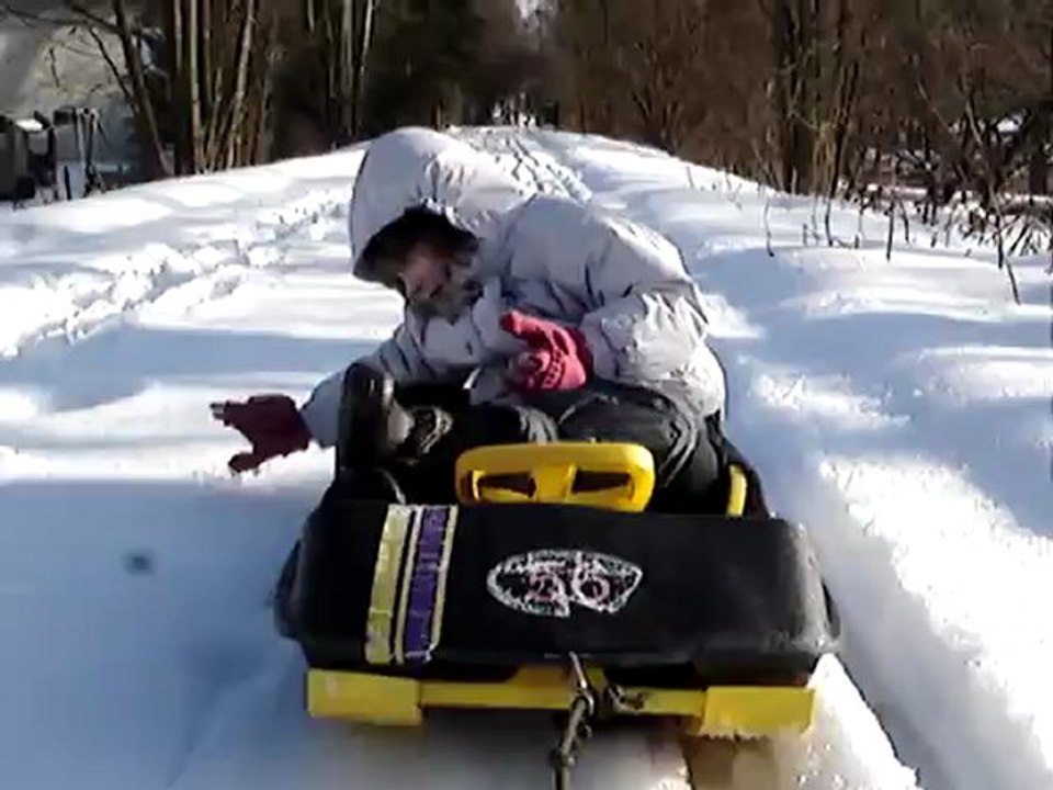 PaPa en mode  " chien de traineau " par une belle journée ensoleillée