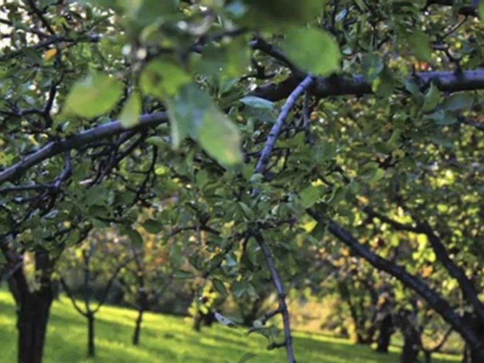 Homes For Sale In Kelowna:Check Out The Real Estate Listings