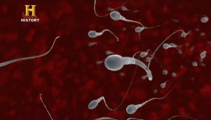 İnsanlardan Sonra Hayat: Arkamızda ki Bedenler