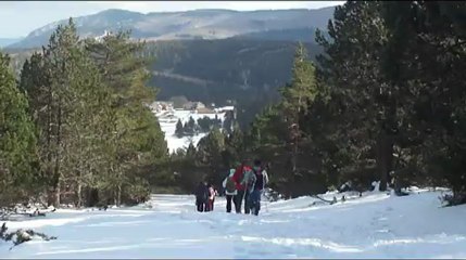 2013-02-17 RAQUETTES AIGOUAL vidéo