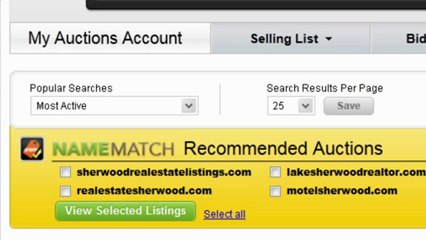 Domain Name Auctions at Godaddy