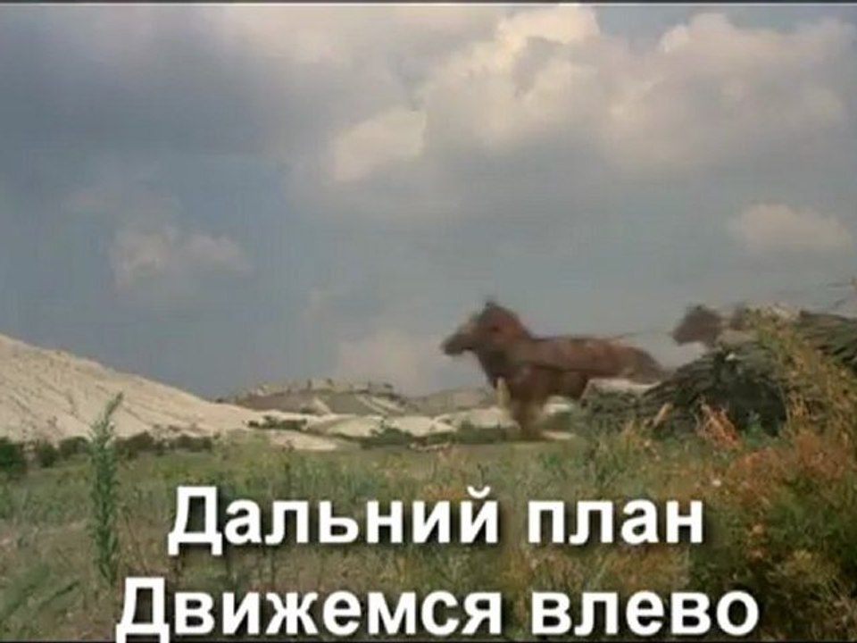 погоня