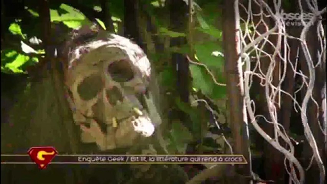 Reportage Bit-lit, la lecture des mordus !