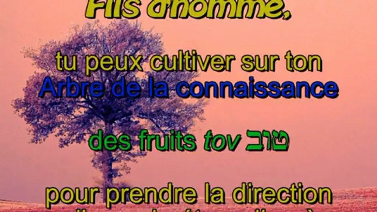 Lettres de l'Homme-Dieu. 9 l'arbre de la connaissance du bien et du mal.
