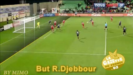 Semaine Du Fennec # 19