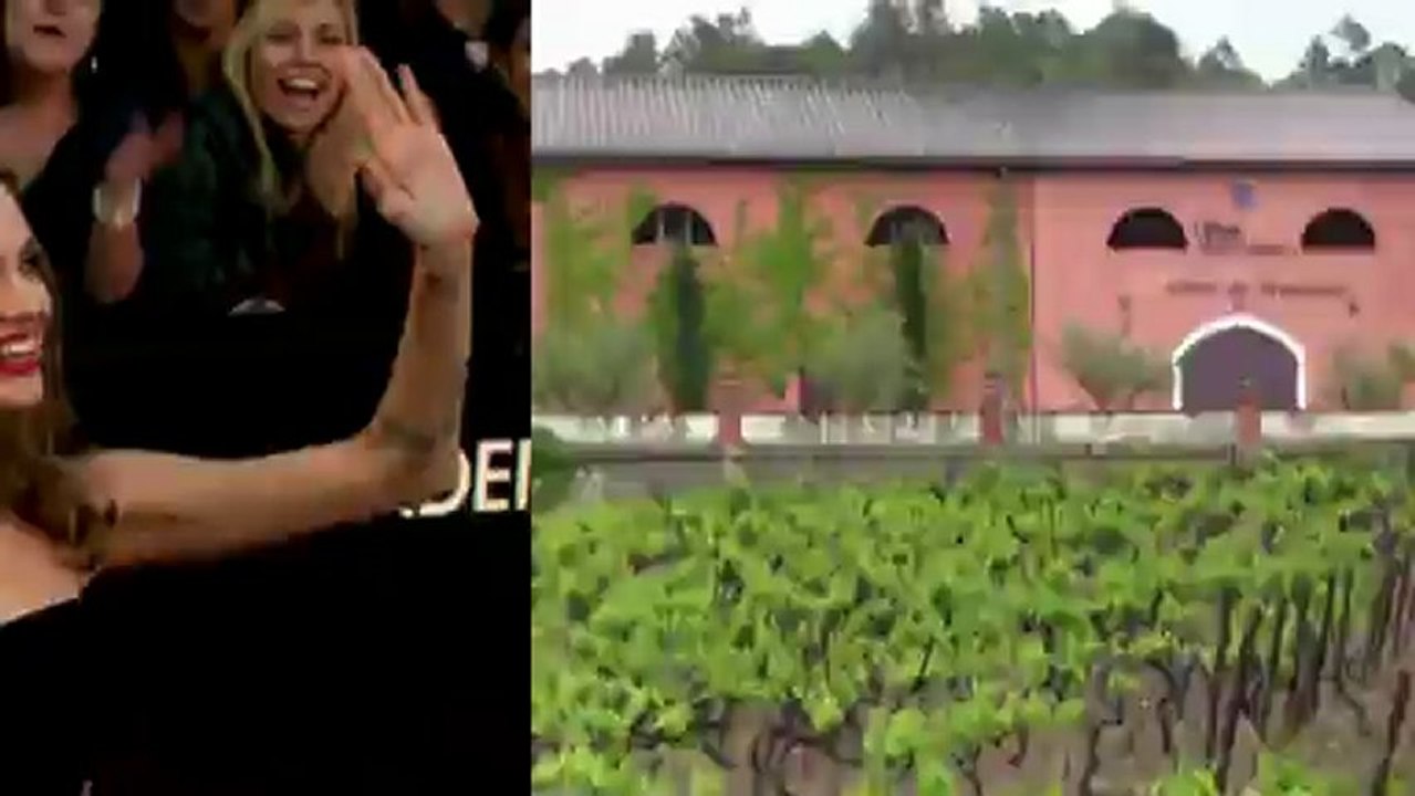 Jolie und pitt machen wein