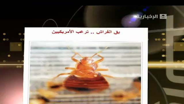 مكافحة حشرة الفراش 0549656294 مكافحة حشرات . رش مبيدات بالرياض