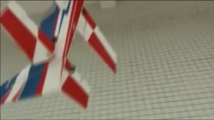 WM Edge 540 EPP 37in 3D flight by the owner of Winner Model