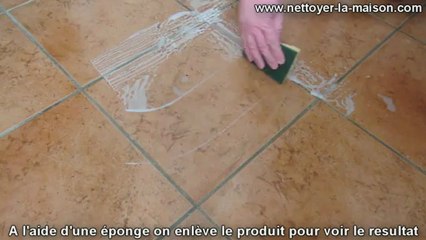 nettoyage joint carrelage