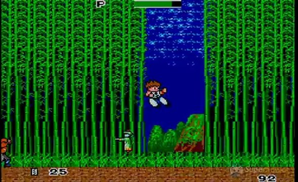 Kung Fu Kid : Arts martiaux en side-scrolling