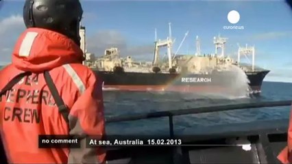Australian anti-whaling group try to save... - no comment