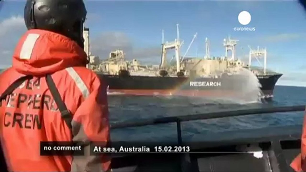 Sea Sheperd défie les baleiniers japonais - no comment