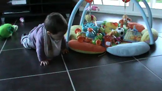 Tao fait du quatre pattes