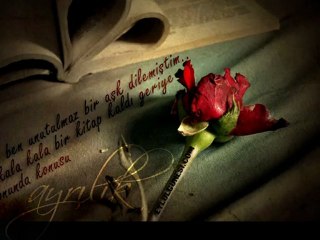 devlerin aşkı büyük olur