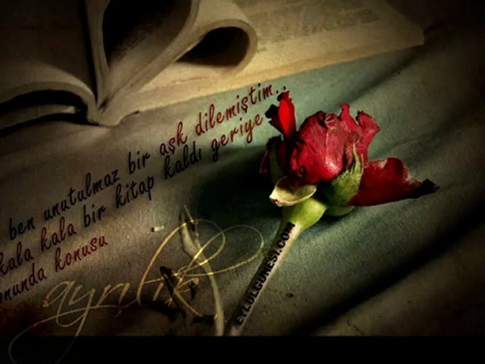 devlerin aşkı büyük olur