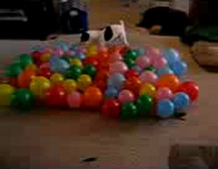 태양성카지노 ☛❦ Q­c­h­1­3­8­.­c­o­m ❦☚ 강원랜드카지노