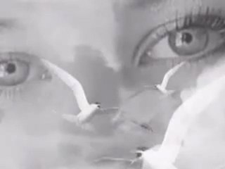 Kahraman TAZEOĞLU -Sessiz Sevda-WWW.SESLİZEUS.COM