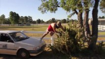 L'idiot du jour se jette dans un cactus