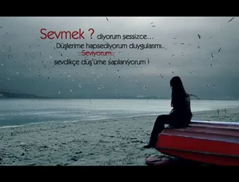 BEN BU DELİYE SEVMEYİ ÖĞRETEMEDİM.