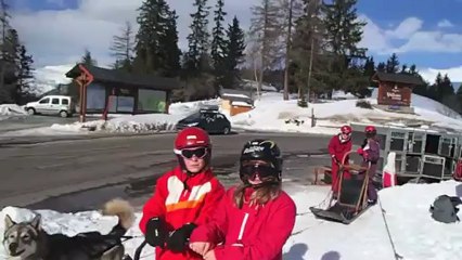 Ski-Snow-Chiens de traineaux