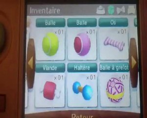 Nintendogs + cats 18 02 2013