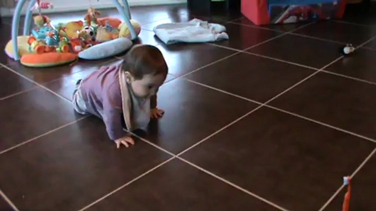 Tao fait du quatre pattes (2)