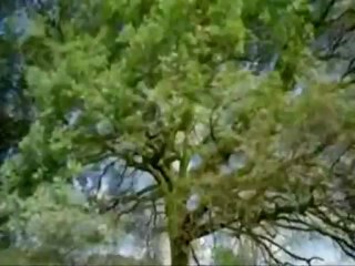 Subhanallah Walhamdulillah Beautiful Creatures of Allah