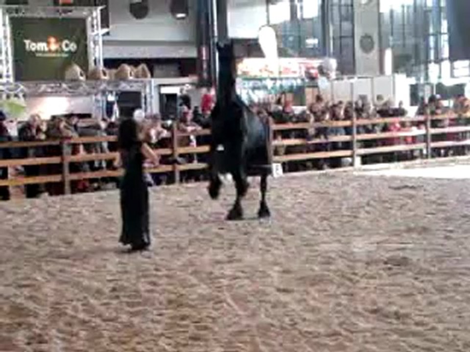 namur 2012