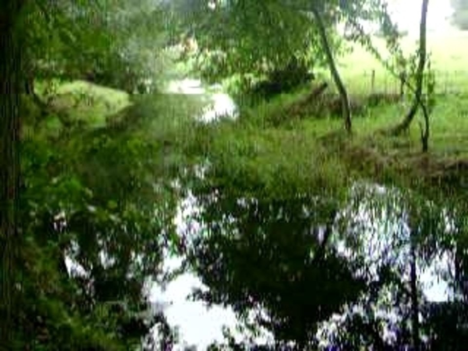 Photo 049