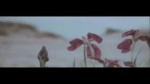 氷雪の門 ‐ ニコニコ動画(原宿)