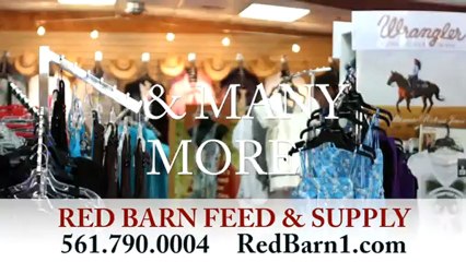 Horse Hay Wellington, Wellington Horse Hay