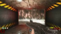 Call of Duty Custom Zombies - Round 50 Giant Room - Part 4