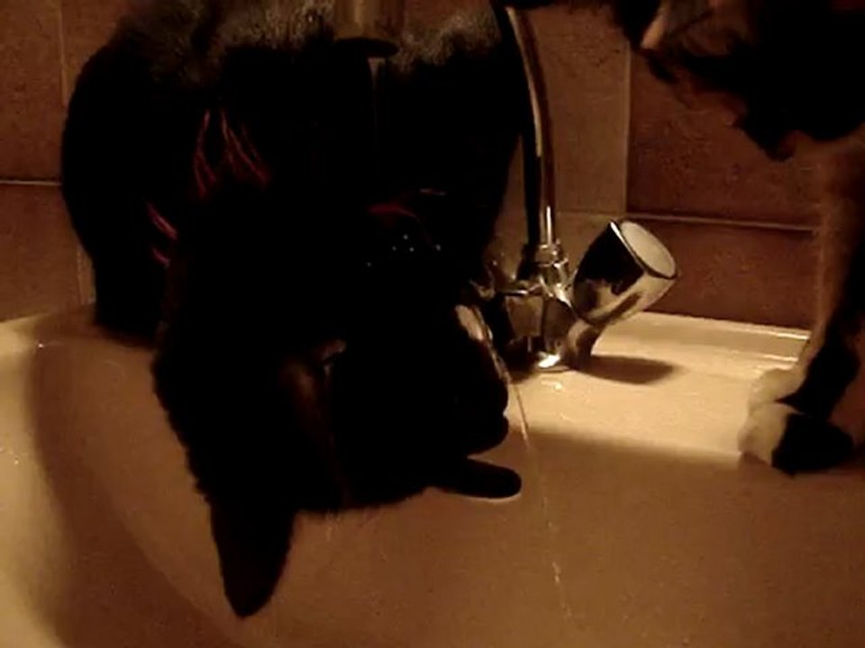 Habysse et l'eau