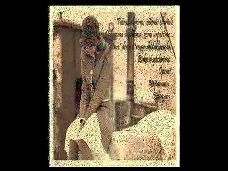 Arzu Sahin-Gidemem -