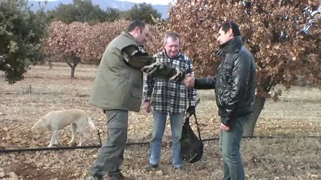 Le SUD, vous en faites tout un plat Poireau vert, Pomme de terre violette, Truffe noire