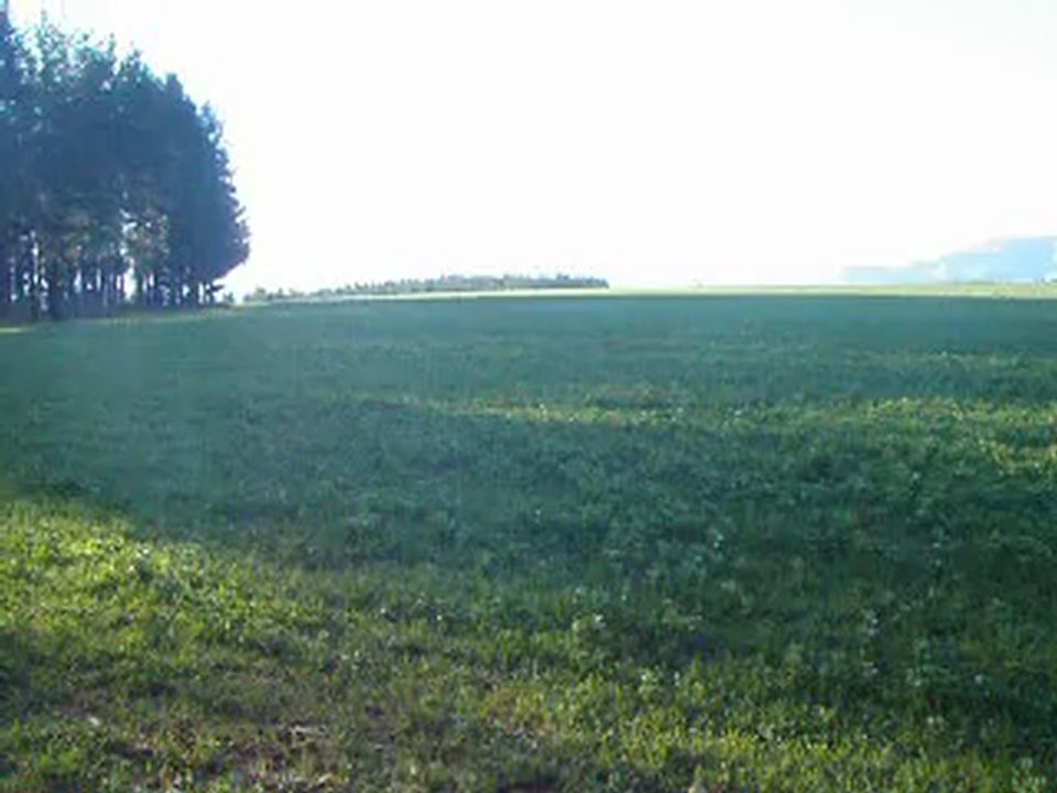 P2190015