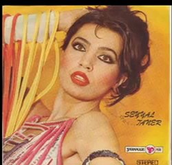 Seyyal Taner  - Şimdi Sen Varsın