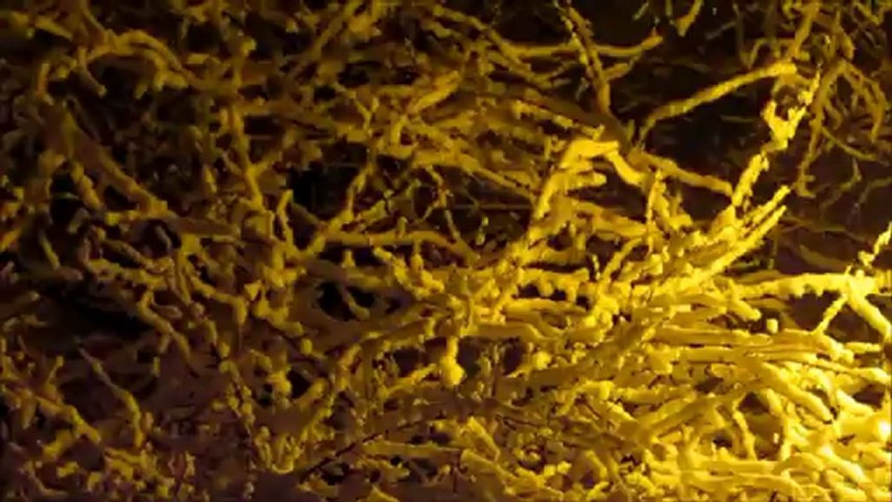 snieg2