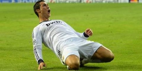 Wild gray Test appears !