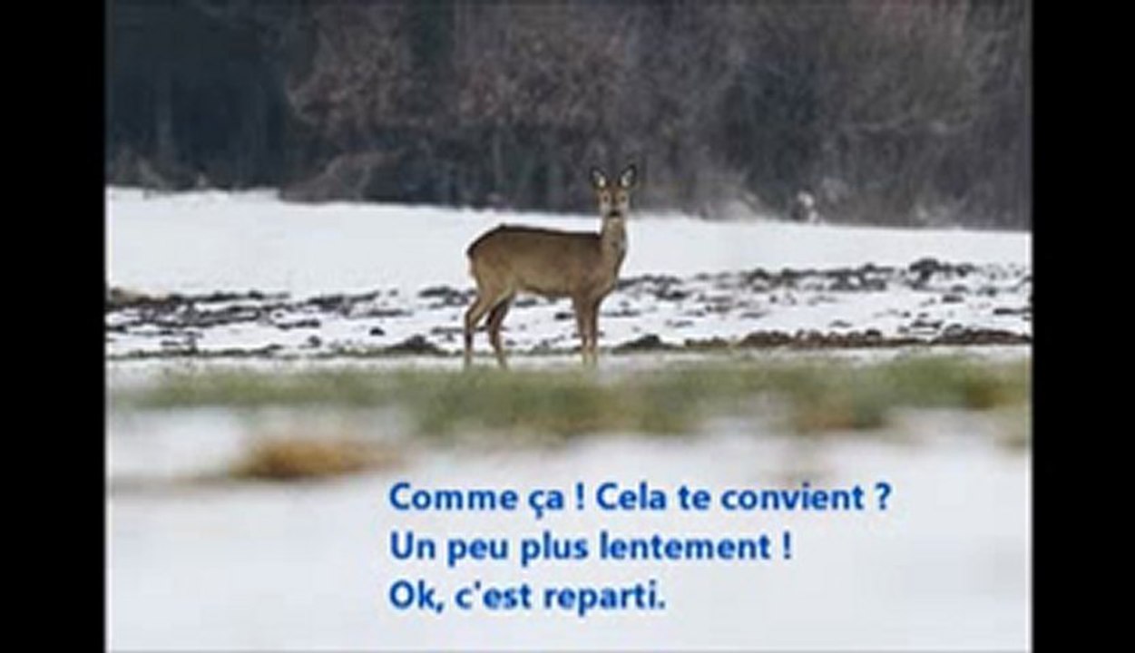 19-02-2013 DEER DERENBACH 08 00 AM(1)