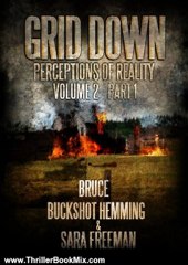 Thriller Book Review: Grid Down Perception of Reality (Grid Down Part 1) by Bruce Buckshot Hemming, Sara Freeman
