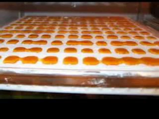 Candies give aways Sweets