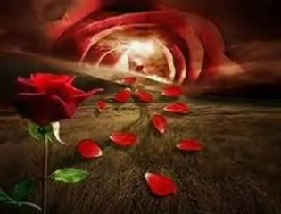 BEN HER GECE AĞLARIM.