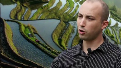 Les qualités nutritionnelles du riz de Camargue