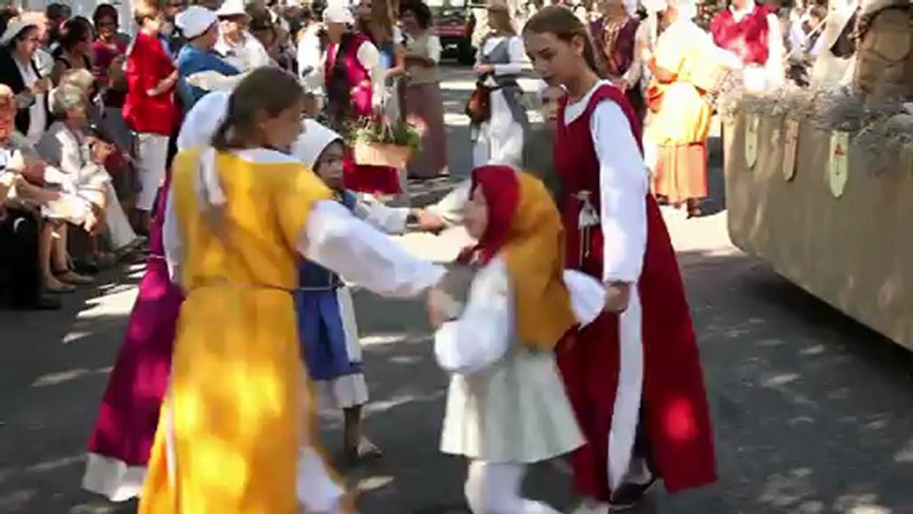 La fête des moissons du riz de Camargue - Arles