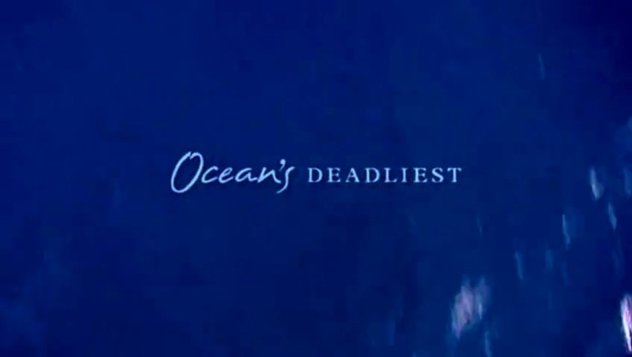 Steve Irwin's Ocean's Deadliest | Great White Shark II | Part 6/9